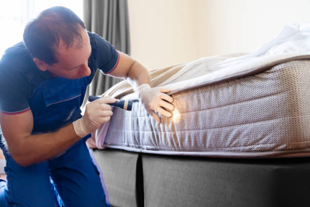 Best Bed Bug Extermination  in Silver Springs Shores, FL